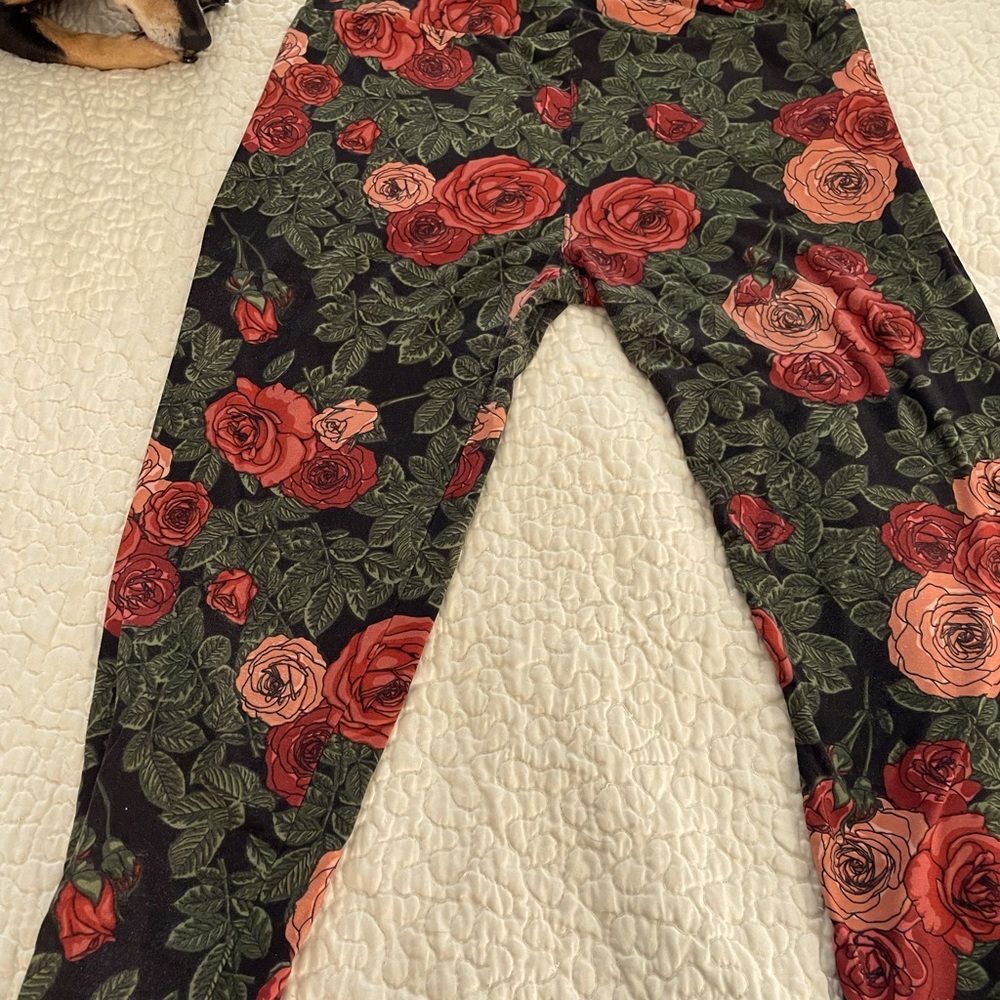 LuLaRoe leggings, TC floral print